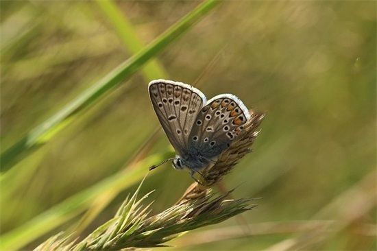 优美文艺有心事的句子