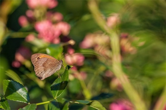 恭喜生男孩的祝福语 祝福别人生孩子的话
