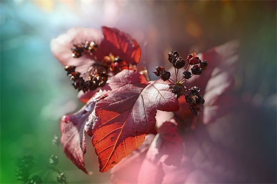 套路满满的情话撩妹到湿的句子 50个撩妹金句