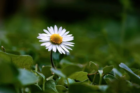 无话不谈闺蜜暖心句子 2026年形容闺蜜无话不谈的句子