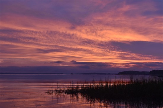 表达爱情幸福的句子