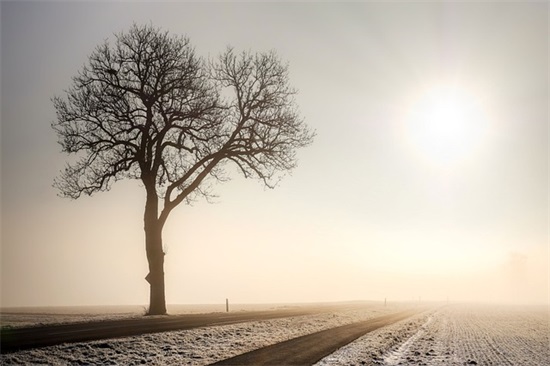 劳动节简短祝福语