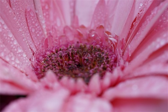 美容院开业祝福语八个字