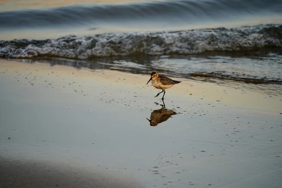 2026跨年微信祝福语 跨年祝福语