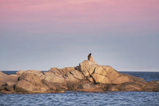 积极向上的简短句子励志