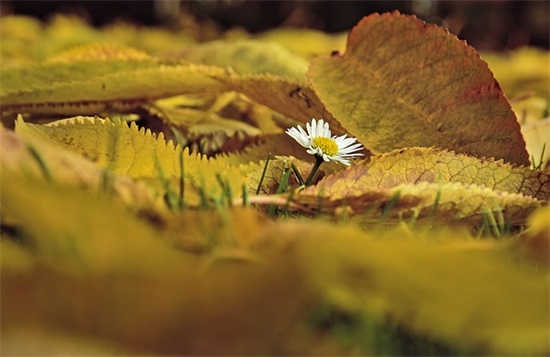 超精辟的人生感悟句子