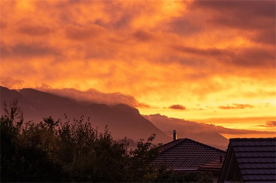 对朋友不离不弃的句子