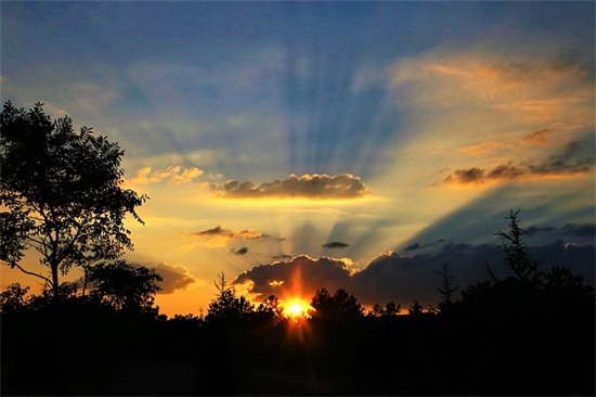 2026生日高级有质感简短句子