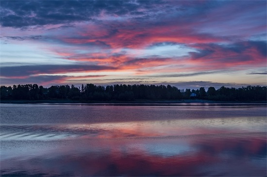 荷塘月色优美句子27句