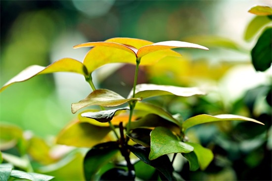 学校中考誓师大会励志句子