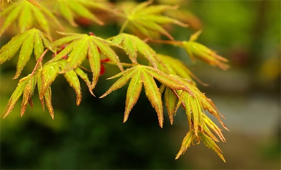 很甜很撩的句子 50个撩妹金句