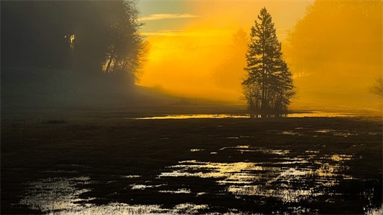 有关贴心的句子 温暖贴心的句子