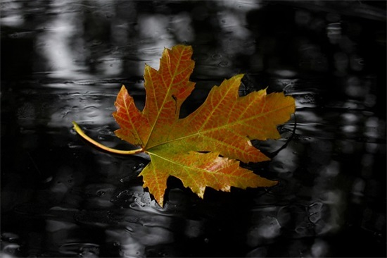 2026年哭完继续坚强的句子