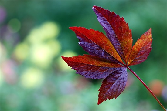 2026关于形容季节的优美句子