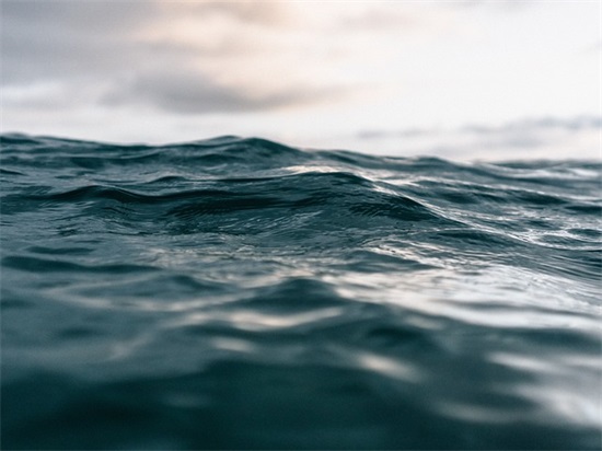 对领导的失望的句子 对领导失望的成语