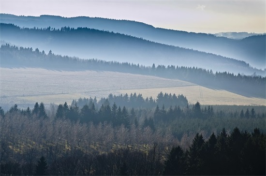 祝愿同事的话 祝同事发展好的祝福语