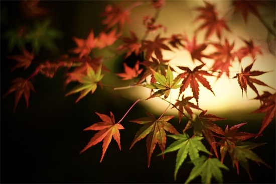 孩子百天祝福语简短 小孩满100天祝福语