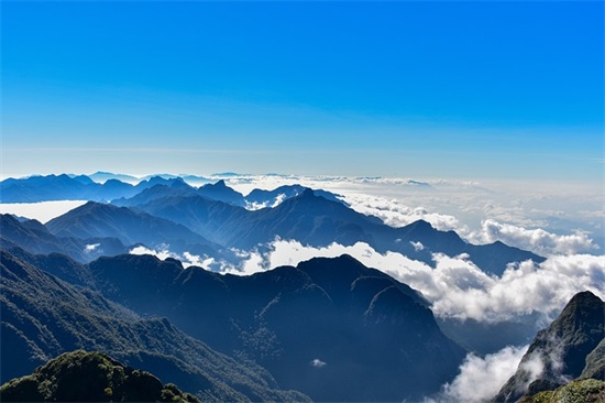 偶像生日祝福语 2026最火生日祝福语