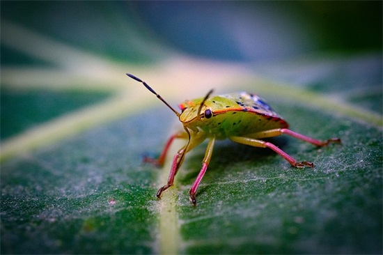 从伤心中走出来的句子(困境中走出来的励志句子)