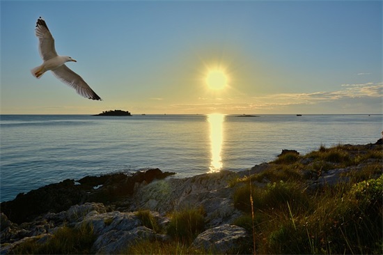 关于雨季的文案(关于雨的文案长句子)