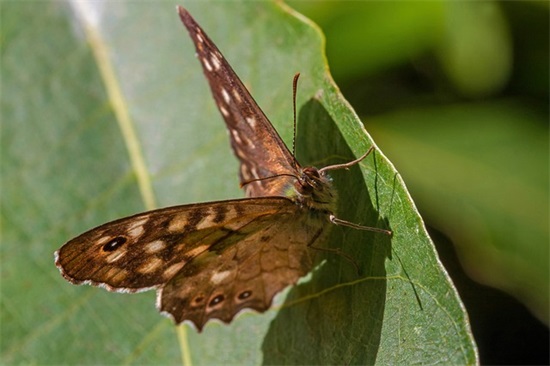 创业投资激励句子
