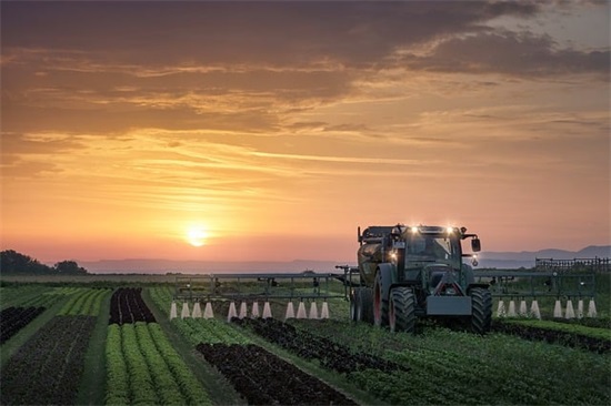 关于爱情伤感的句子 关于爱情伤感的句子简短