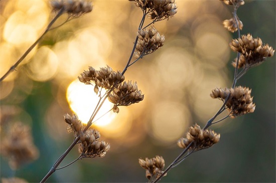 精致女人正能量的句子