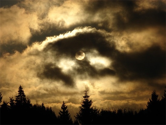 幼儿生日祝福语 【幼儿生日祝福语简短可爱】