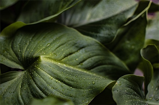 风雨过后总见彩虹的句子精选20句